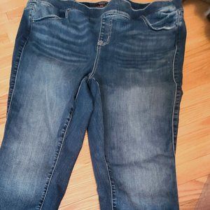 Torrid Lean Jean Size 3R